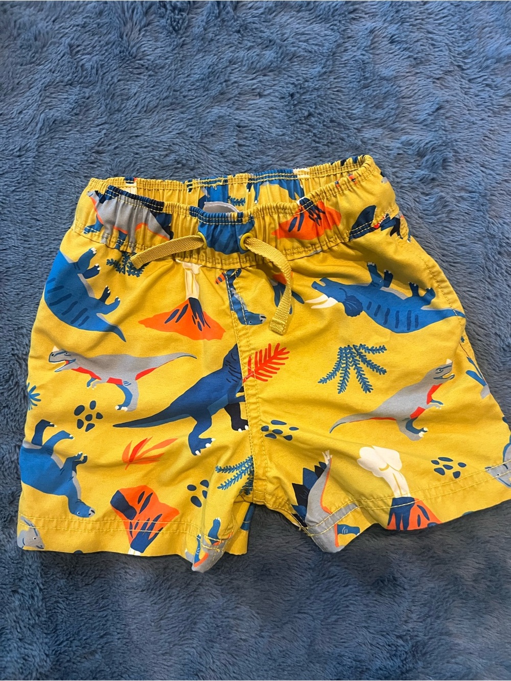 Hannah Anderson 2t Yellow Dinosaur Print Swim Trunks